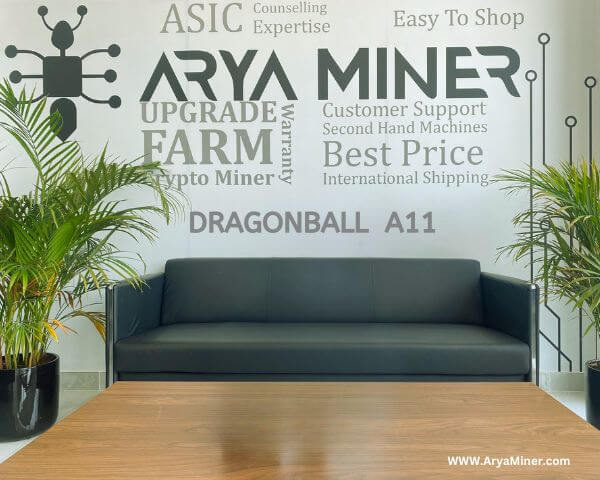 DragnBall A11